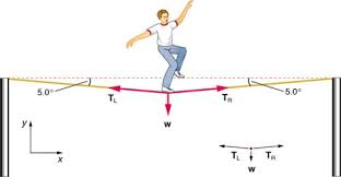 Elasticity Stress And Strain Physics