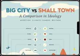 These include cities, towns, villages, and in some states, hamlets. Big City Vs Small Town Fannie Ko