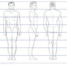 See medical drawing human body stock video clips. The Male Human Body Proportions How To Get Them Right Using The Heads Count Method Sweet Drawing Blog