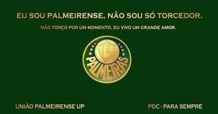Pin Em Sociedade Esportiva Palmeiras