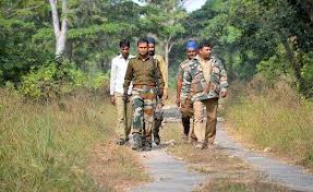 Forest guard recruitments mired in ...