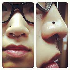 Ultimate Nose Piercing Guide Black Line Studios Black Line Studios