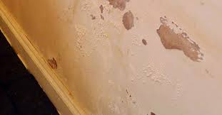 Here you may to know how to cover damp patch on wall. Damp Patch On Interior Walls First Signs Of A Damp Problem Damp Specialists Damp Solutions Frank Schrijver Uk Ltd