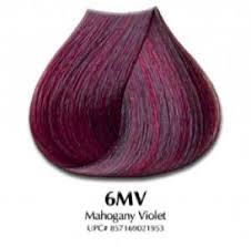 Satin Hair Color Mahogany Violet 6mv Hair Color Mahogany Mahogany Hair Reddish Purple Hair