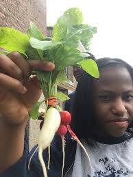 Check out how great the garden is looking!