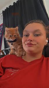 Milo and his orange brother are hoping everyone has some good cuddles this  weekend and a denta stick!