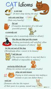 Pin By Ruth Godi On Rookie English Idioms English Language Learning Learn English