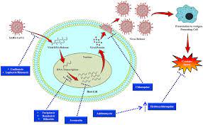 Mg is sometimes identified as having an ocular and generalized form. Frontiers Ncovid 19 Pandemic From Molecular Pathogenesis To Potential Investigational Therapeutics Cell And Developmental Biology