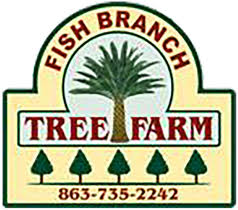 With 205 exotic 3d fish and sharks along with 90+ decorations at your fingertips, the possibilities are limitless. Home Fish Branch Tree Farm