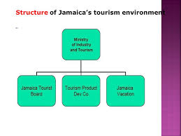 Tourism Travel Sector Role Of Tourism Organizations Ppt