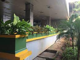 Taman sekolah unik yang digagas, bisa jadi salah satu nilai plus bagi standar adiwiyata, yakni sebuah program lingkungan dengan prinsip dasar partisipatif dan berkelanjutan, yang dituangkan antara lain dalam kebijakan berwawasan lingkungan, pelaksanaan kurikulum berbasis lingkungan. Kombinasi Warna Cat Gedung Sekolah Model Interior Rumah