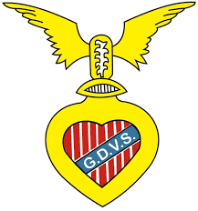 Vi offriamo di scaricare sfondi portogallo nazionale di calcio, logo dorato, europa, la uefa, verde, metallo, sfondo, portoghese, calcio di squadra, calcio, pff logo, portogallo da un insieme di categorie sport per la relativa delibera del monitor per la registrazione gratuita e senza. Grupo Desportivo Vitoria De Sernache Trovato Su Bing Da Gdvsernache Blogspot Com