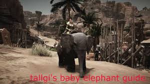 Black Desert Online Baby Elephant Quest Guide By Jc Exe
