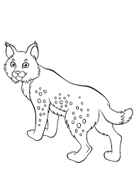 Dan zul je op deze pagina zeker genieten van de mooiste honden kleurplaten. Noord Amerika Dieren Silhouetten Geisoleerd Op Een Witte Achtergrond Vector Illustratie Zwarte Contour Groot Vector Set Preschool Baby Continenten Onderwijs Getrokken Royalty Vrije Cliparts Vectoren En Stock Illustratie Image 65997711