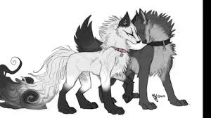 Anime black white wolf roleplay in 2019 anime wolf. Anime Black And White Wolves In Love Novocom Top