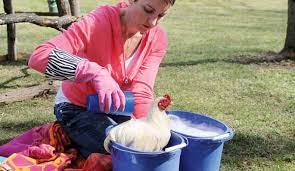 How often should babies be given a bath? How To Give Your Chicken A Bath Hobby Farms
