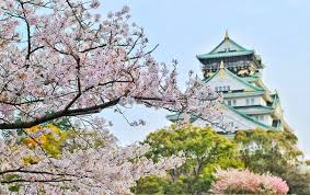 Hal itu dinilai langkah yang tidak tegak lurus dengan perintah ketua umum pdip megawati. Tanda Musim Semi Semakin Dekat Bunga Sakura Mulai Bermekaran Di Pulau Jeju Korea Selatan Kabar Lumajang