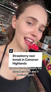 Interesting! #cameronhighland #strawberrynasilemak #nasilemak  #malaysiatiktok #fyp #foryoupage #foryou #malaysia