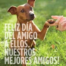 El Dia Del Perro Celebra Una Nueva Edicion Con Concursos Exhibiciones Y Premios