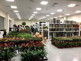 Dogs always use to be allowed so it's disappointing when you make a trip knowing it use to be dog friendly. Gover Garden Centre Llc