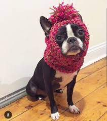 Custom Winter Hat With Ear Holes And Pom Pom With By Pvpboutique Boston Terrier Boston Terrier Dog Boston Terrier Love