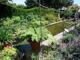 Anja Maubach S Garden Arends Maubach By Wuppertal Germany Garden Plants Travel