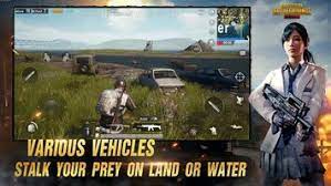 Buy Pubg Mobile 6000 2100 Uc Unknown Cash Key Global Eneba