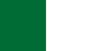 Saudi Arabia Flag Color Palette Flag Colors County Flags Nigeria Flag