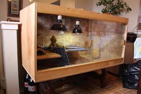 Bearded Dragon Enclosure Bearded Dragon Enclosure Bearded Dragon Care Baby Bearded Dragon