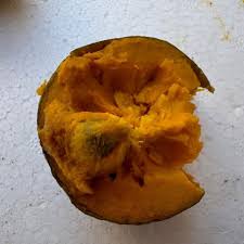 Image result for Pouteria pseudoracemosa