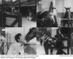 Resistant to change of position or condition; Kaki Kuda Horse Crazy 1958 Singapore Film Locations Archive