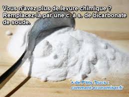 Comment Et Par Quoi Remplacer La Levure Chimique
