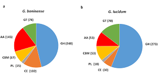 We did not find results for: Insight Into Plant Cell Wall Degradation And Pathogenesis Of Ganoderma Boninense Via Comparative Genome Analysis Peerj