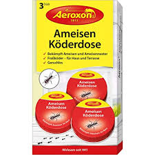 Fliegende ameisen sind keine spezielle art. Was Sind Fliegende Ameisen Und Wie Konnen Sie Bekampft Werden