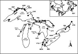 Guys i found an da hood unban script and i wanted to tell u the script: Dna Strand Length And Erod Activity In Relation To Two Screening Measures Of Genotoxic Exposure In Great Lakes Herring Gulls Springerlink