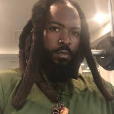 Has anyone mounted a roof vent fan