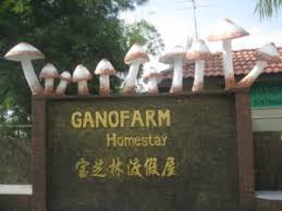 We did not find results for: Neighbourhood Guide Sama Sama Hotels