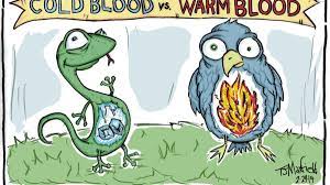 Start studying warm blooded animals. Kids Quiz How Are Cold Blooded Animals Different From Warm Blooded Ones