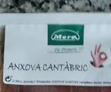 Anchova Tabric