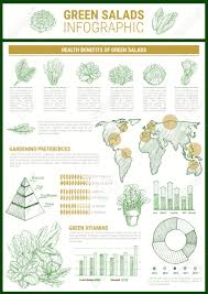 Salad Greens Infographic Template Leaf Vegetable Health Benefits