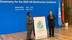 From wikipedia, the free encyclopedia. Logo Launched For 2020 Un Convention On Biological Diversity Cgtn