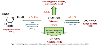 Assessment Of Alcohol Exposure Testing For Ethylglucuronide