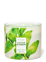 Every post, every story, everything you need to #homehappier. Cactus Blossom 3 Wick Candle White Barn Bath Body Works