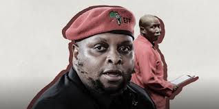 Shivambu quits EFF for MK, Malema likens 'pain' to mother's death