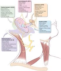Image result for Otalgia