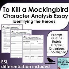 A Ccss Aligned Essay That Includes Differentiation For