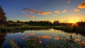 Wallpapers For Wallpaper For Laptop Nature Nature Hd 154628 Hd Wallpaper Backgrounds Download Support us by sharing the content, upvoting wallpapers on the page or sending your own background pictures. hd wallpaper backgrounds download