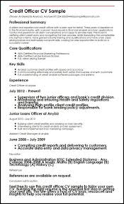 This is an acceptable format and recommended for professionals that have impressive. Personal Banker Cv Template May 2021