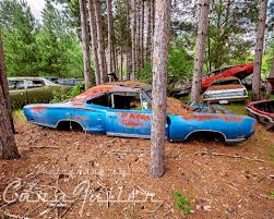 Image result for Light Blue 1969 Coronet