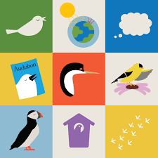 Bird Is The Word Gif With Sound Https Encrypted Tbn0 Gstatic Com Images Q Tbn 3aand9gcsa8se5 G0ms8zpiqiuytp07k149igqjqxbpq Usqp Cau
